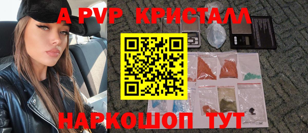 Alfa_PVP СК КРИС Белово