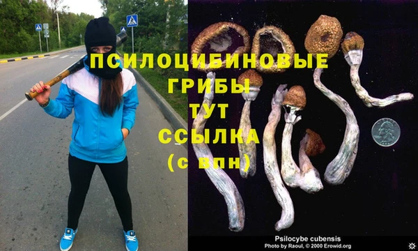 гашик Балахна