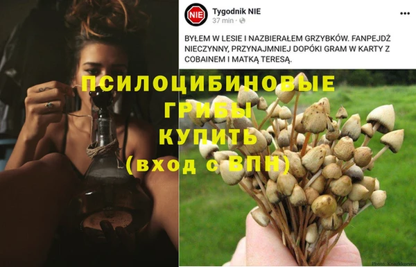 наркотики Баксан